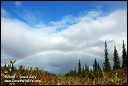 Bears 2004 by David Cary: Nice Rainbow!