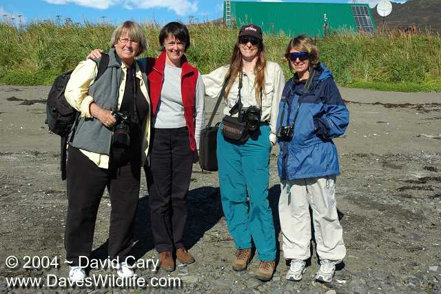 Bears 2004 by David Cary: Mary, Sue, Alisa & Jackie