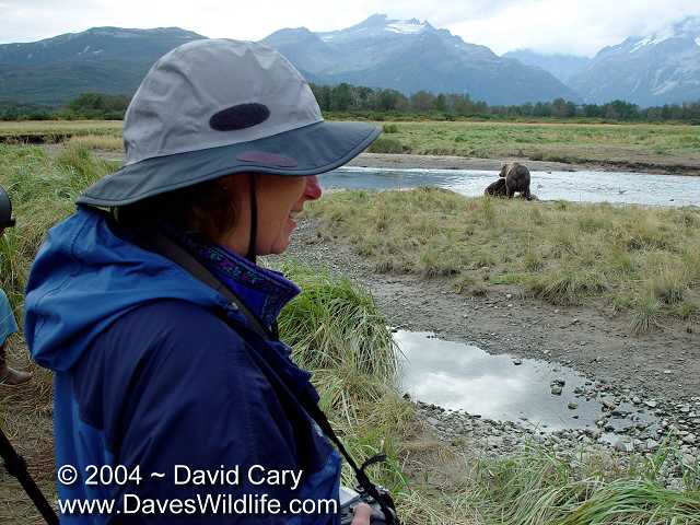 Bears 2004 by David Cary: 