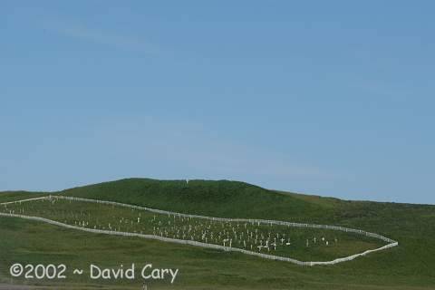 St. Paul Island, Alaska, 2002 ~ David Cary. The Island Cemetary.