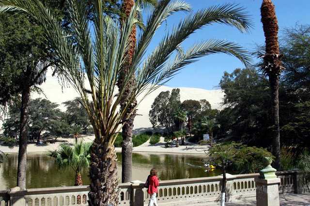 Huacachina,<br>Oasis near Ica