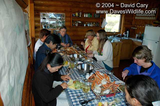 Bears 2004 by David Cary: Tanner Crabs for Dinner<br>All you can Eat!