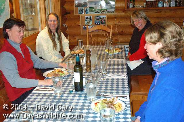 Bears 2004 by David Cary: Sue, Alisa, Mary and Jackie